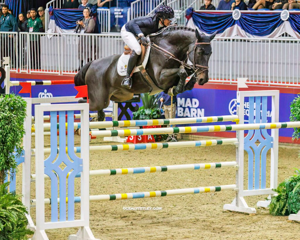 Royal Winter Fair Horse Show: Championship Show Jumping