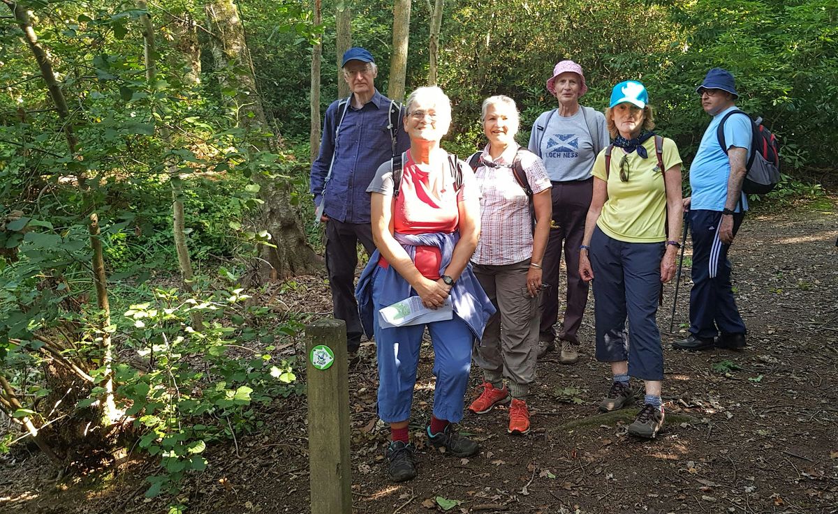 Ramblers London Loop, Capital Ring & Green Chain Walk volunteers meeting