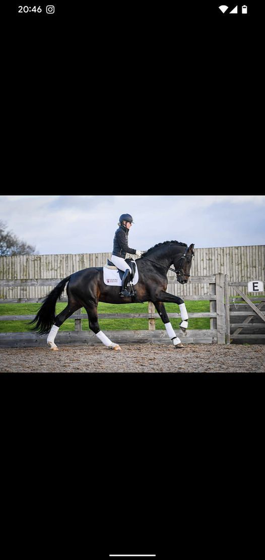 Combined Training Clinic at Aldham Mill with Emma Corbett and Christie