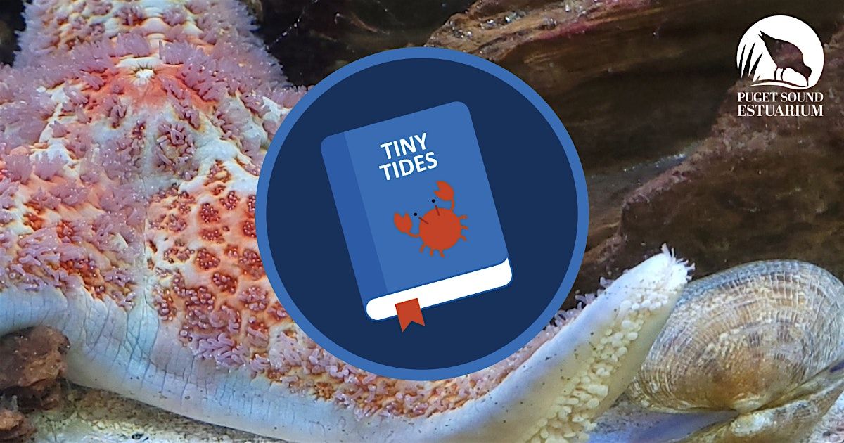 Tiny Tides Storytime