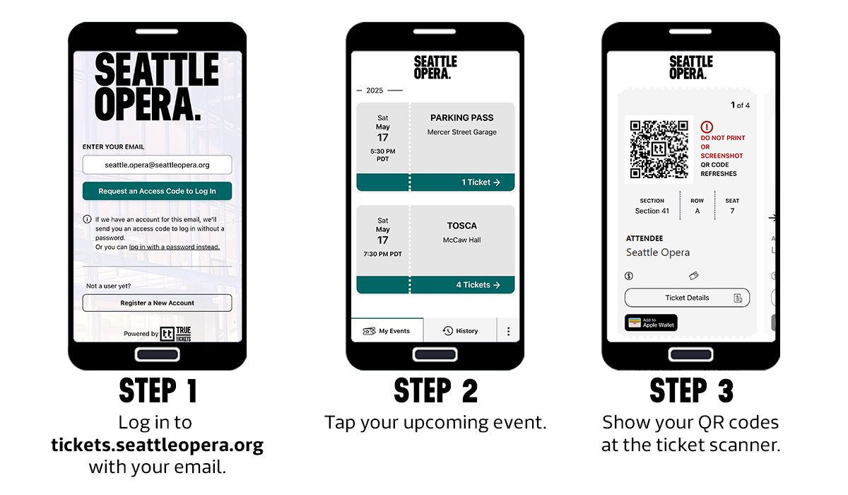 Parking Seattle Opera - Carmen