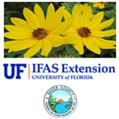 UF IFAS Extension Baker County Garden Spot