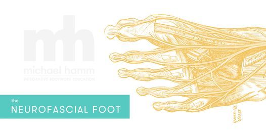 HYBRID - Neurofascial Approach to Foot