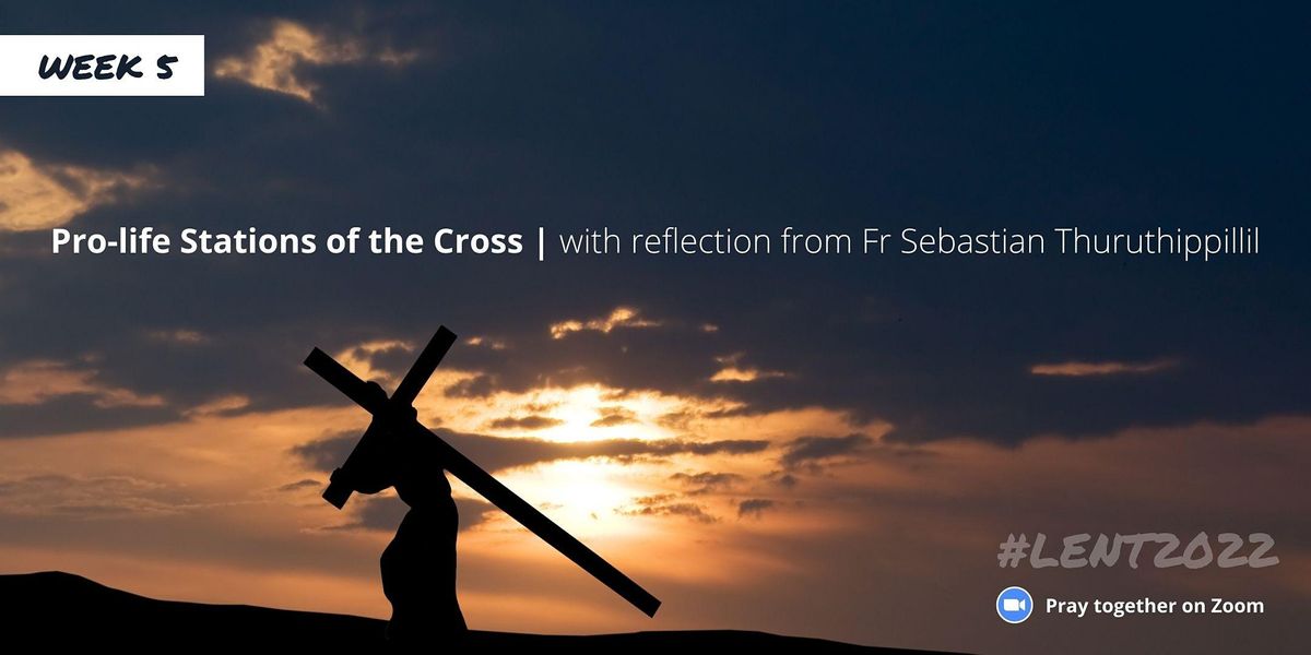 Pro-Life Stations of the Cross with Fr Sebastian Thuruthippillil ...