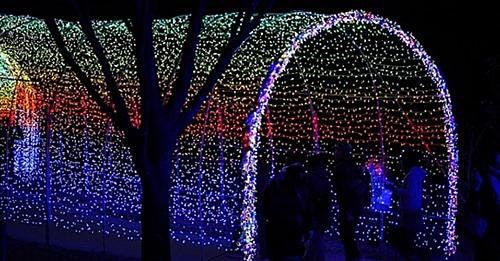 Wickham Park Christmas Lights 2022 Riverside Horse & Carriage At Space Coast Light Fest - Wickham Park | Wickham  Park, Melbourne, Fl | December 6, 2021