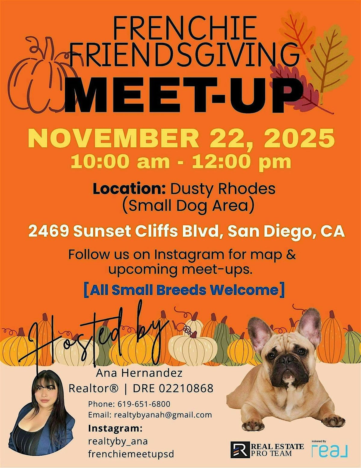 Frenchie Friendsgiving