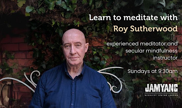 How to Meditate