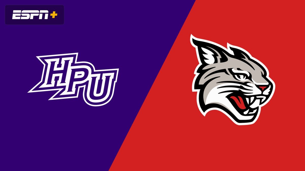 High Point Panthers at Davidson Wildcats Womens Basketball