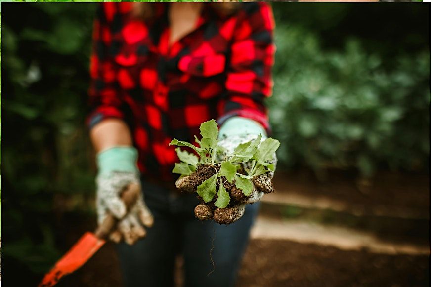Common weeds in your garden 6\/13\/2026 at 10:00am @ Cheyenne-Arapaho Park