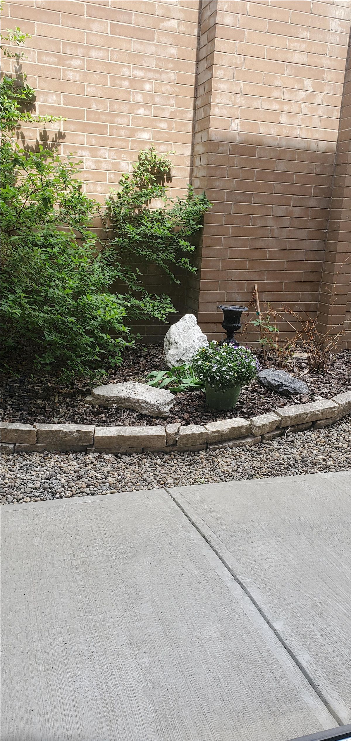 Tension Releasing Exercises (TRE): Module 1 for Personal Practice