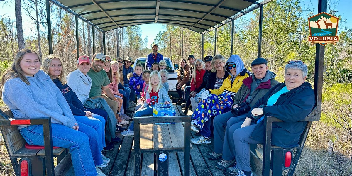 Deep Creek Eco-buggy Tour: Afternoon