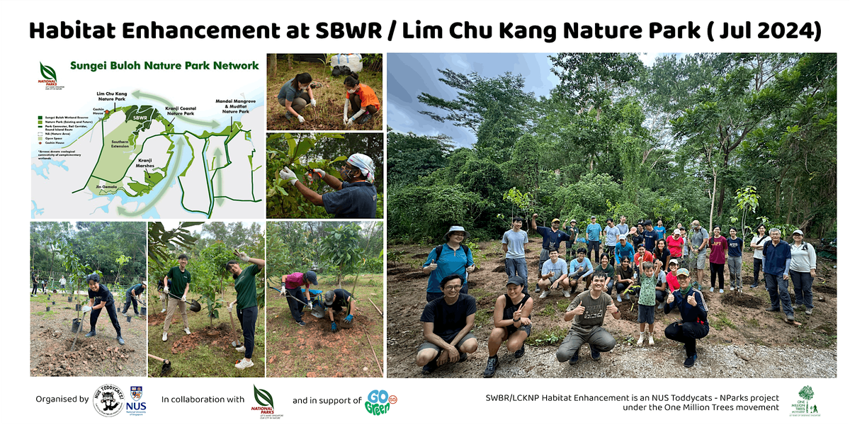 Habitat Restoration at SBWR/Lim Chu Kang Nature Park (Jul 2024 ...