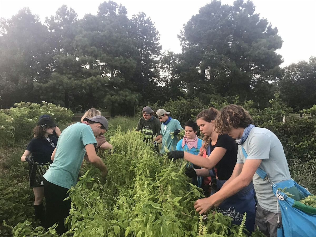 Blackwood LANDFARM Volunteer Sign-up