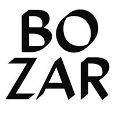BOZAR CINEMA