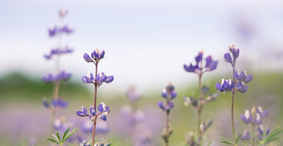 Table Mountain Photography In Store and On Location Action