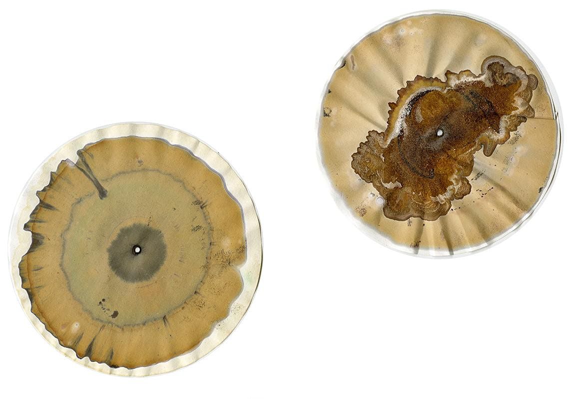 Soil Chromatography Online September 28, 2022
