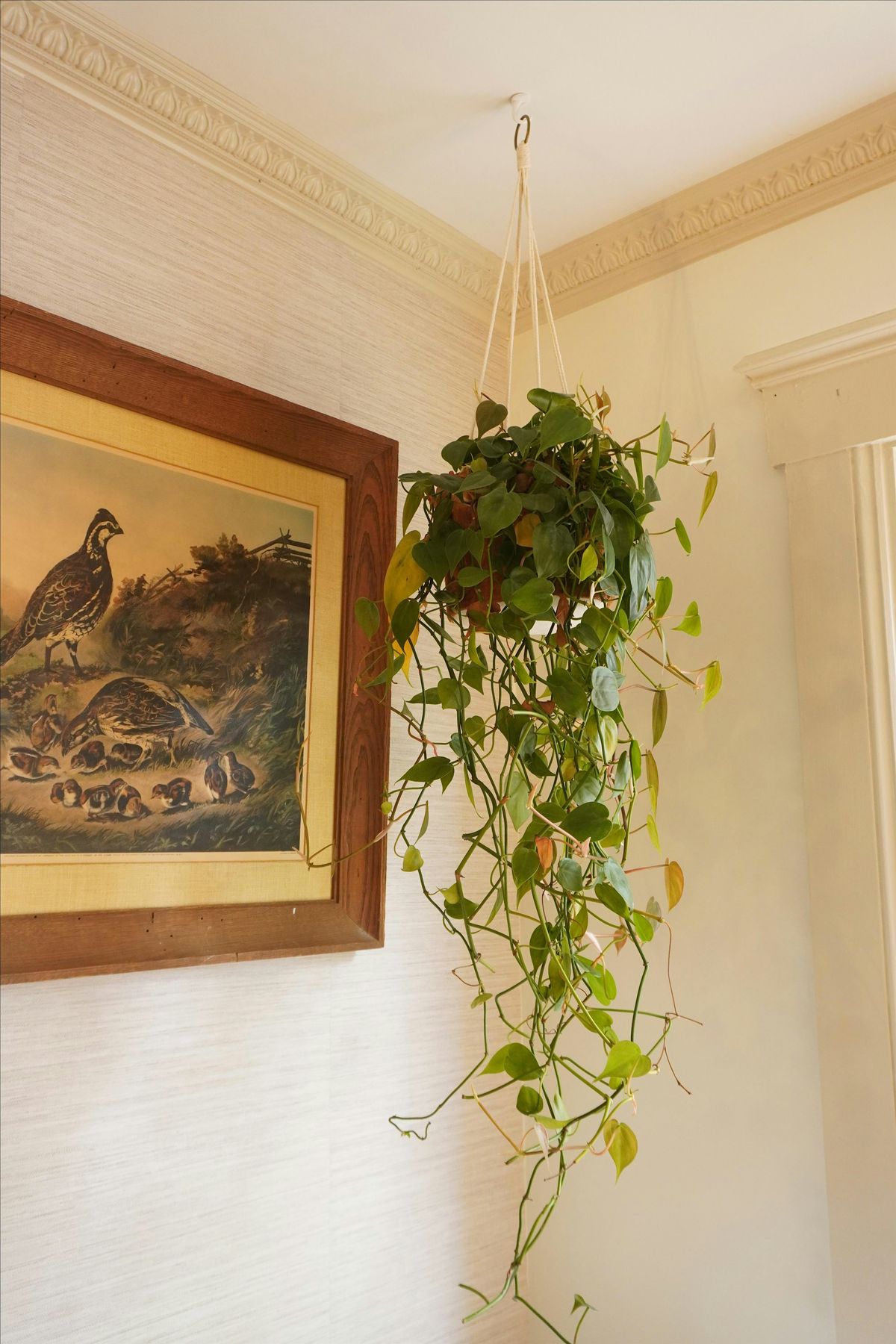 Foundations of Cutting- Square One Length