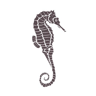 Seahorse Academy