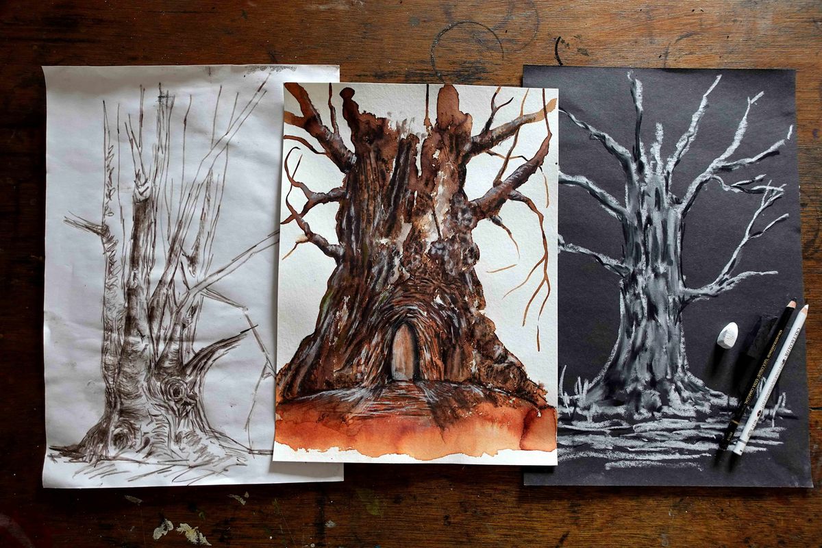 Drawing The Spirit Of Trees