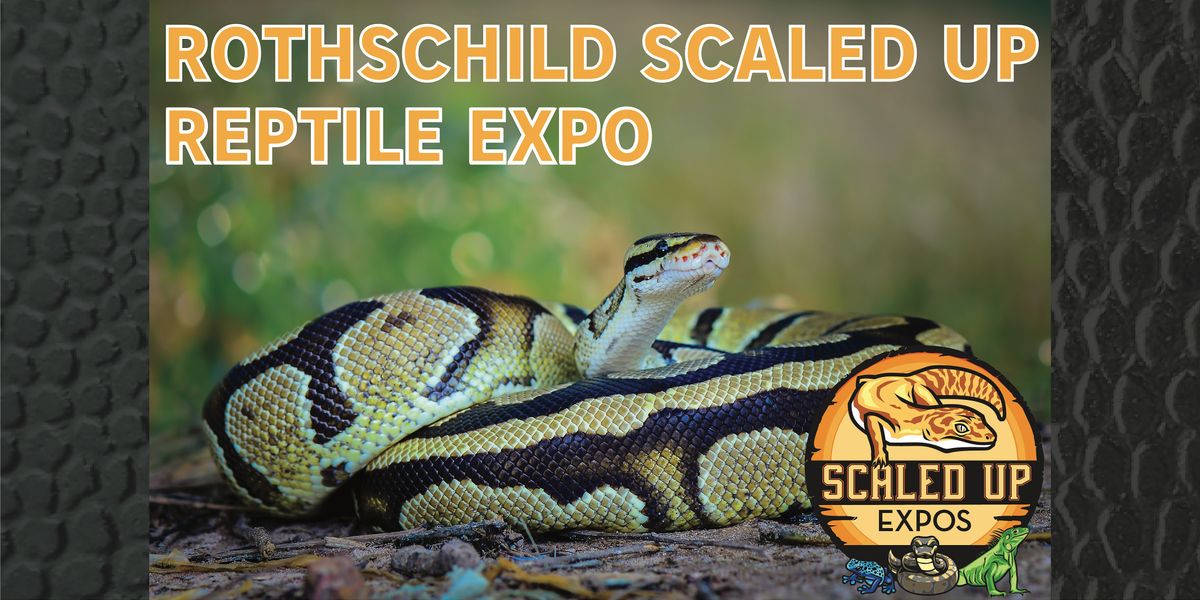 Rothschild Scaled Up Reptile Expo 12112022 Central Wisconsin