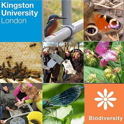 Kingston University Biodiversity Action Group
