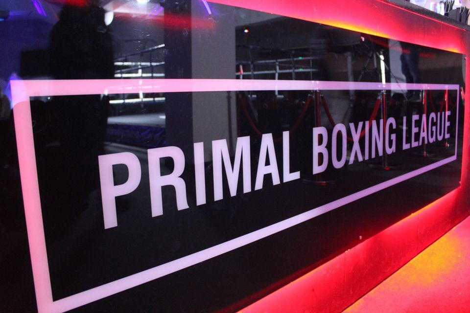 Primal Boxing League 4