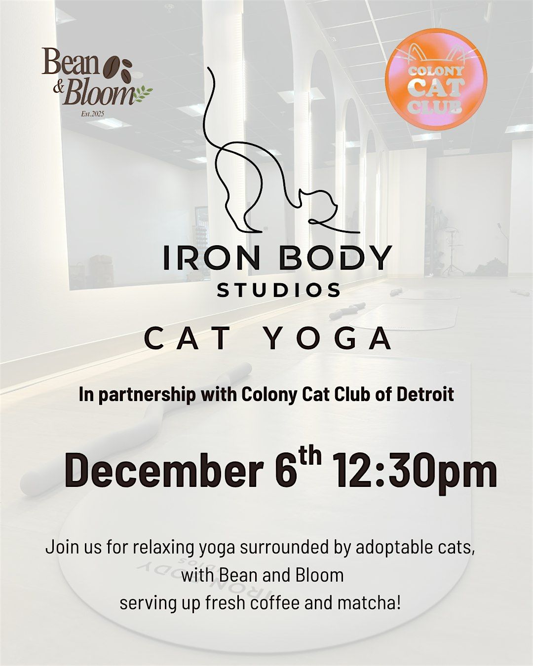 Cat Yoga with Colony Cat Club