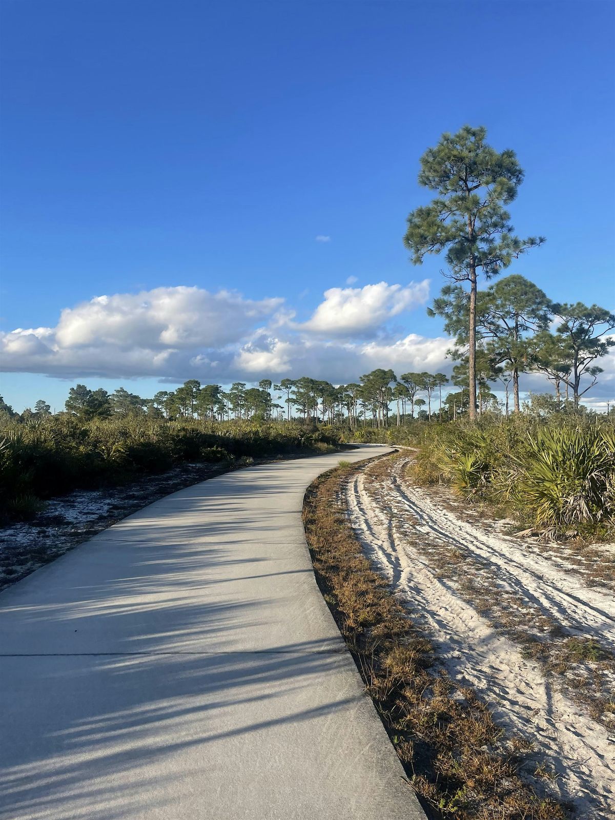Step Into Nature: Morning Greenway Walk