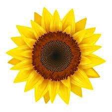 Ciren Makes Music For Ukraine | Cirencester Baptist Church | October 8