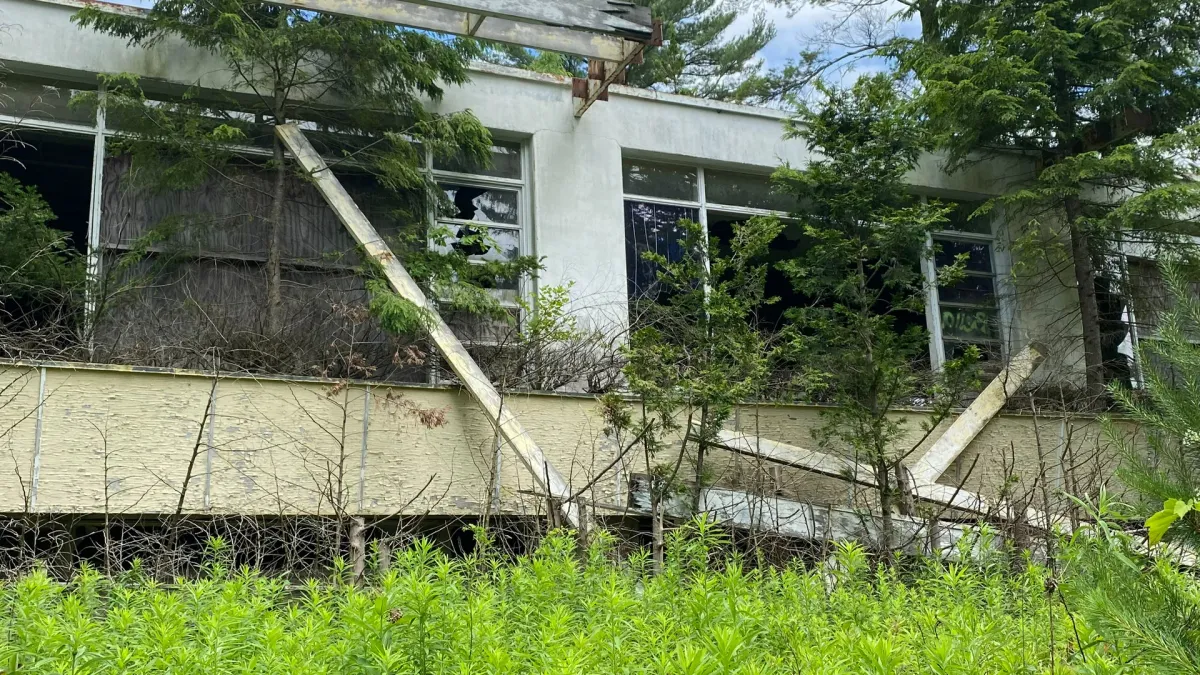 flyingfish in Pontiac