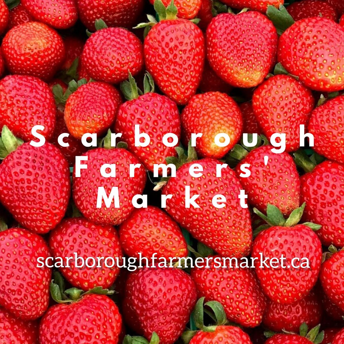 2022 Scarborough Farmers Market Rosebank Park 1051 Progress Ave
