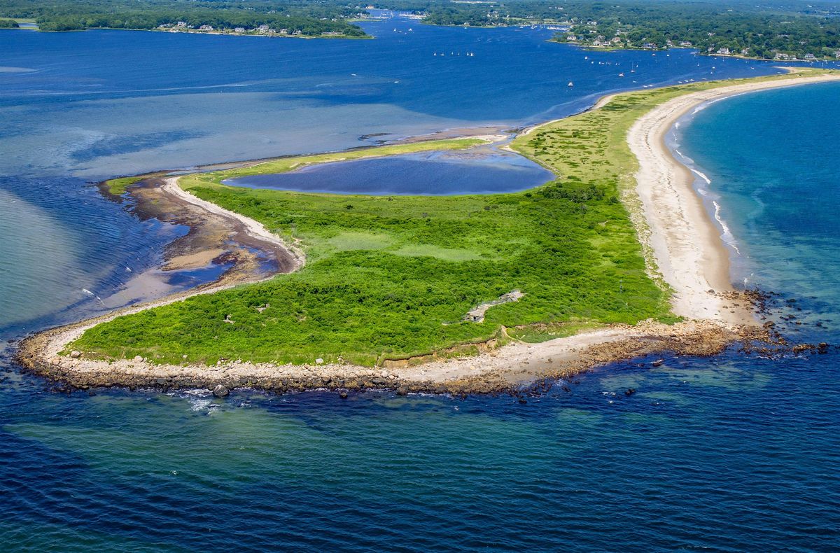 Natural History Walks