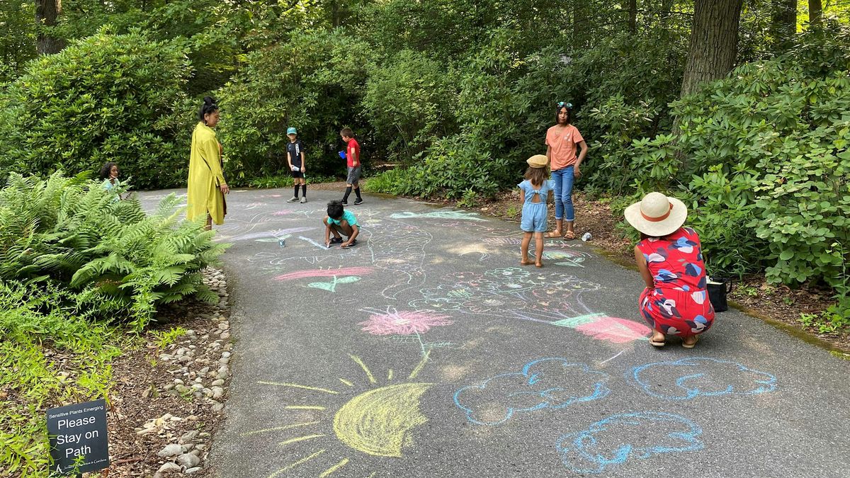 Sidewalk Chalk Walks (all Ages) 