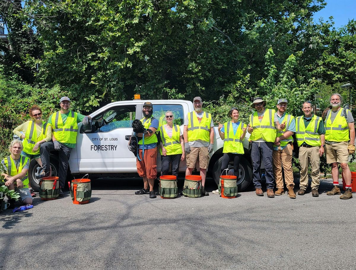 Benton Park West Tree Care Blitz