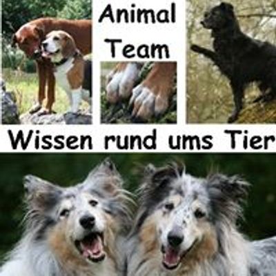 Animal Team - Wissen rund ums Tier \/ Hundeseminare