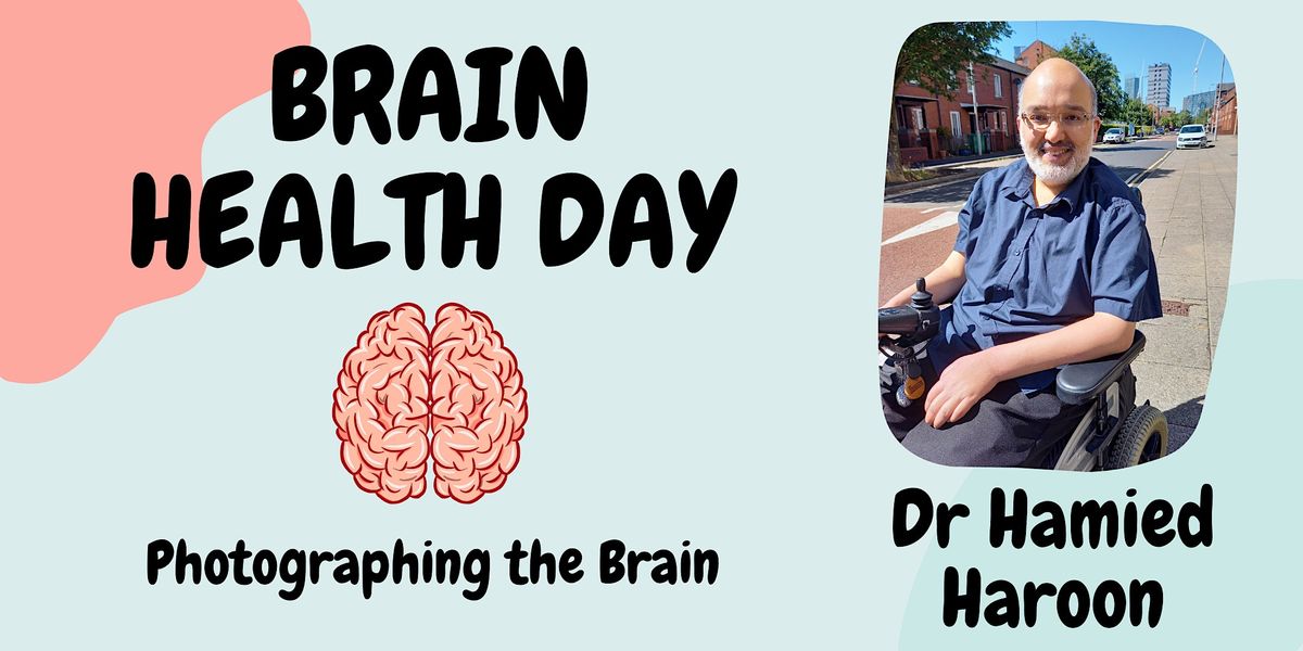 More than just pretty pictures - exploring the physics inside the brain