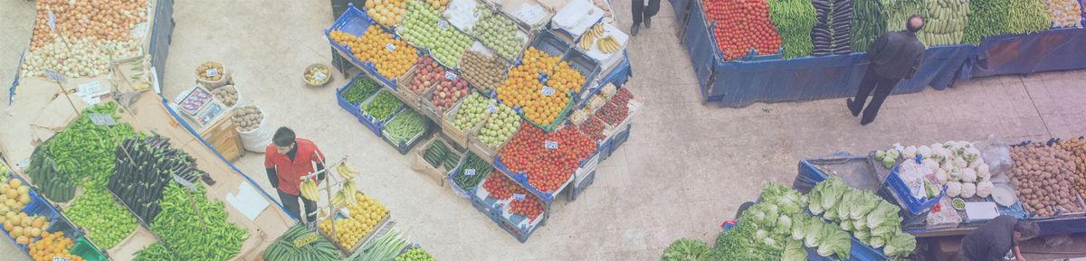 Information Architecture