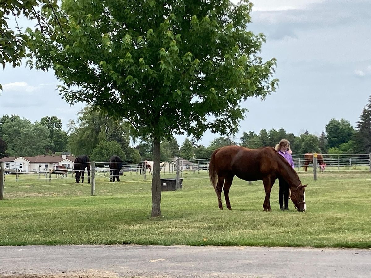 Legacy Equestrian Camp Pony Week (ages 5-8) | The Legacy Equestrian ...