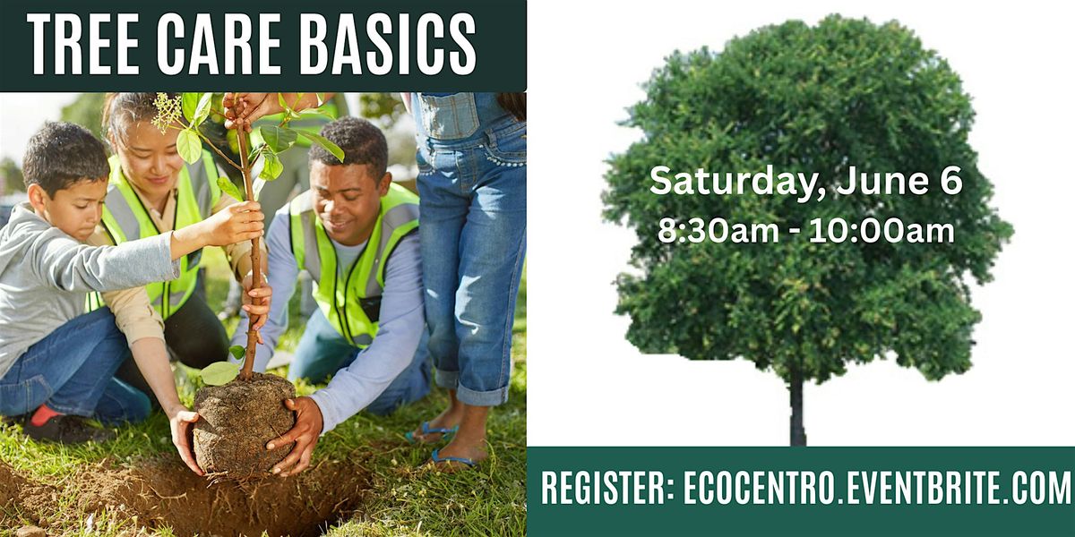 Tree Care Basics