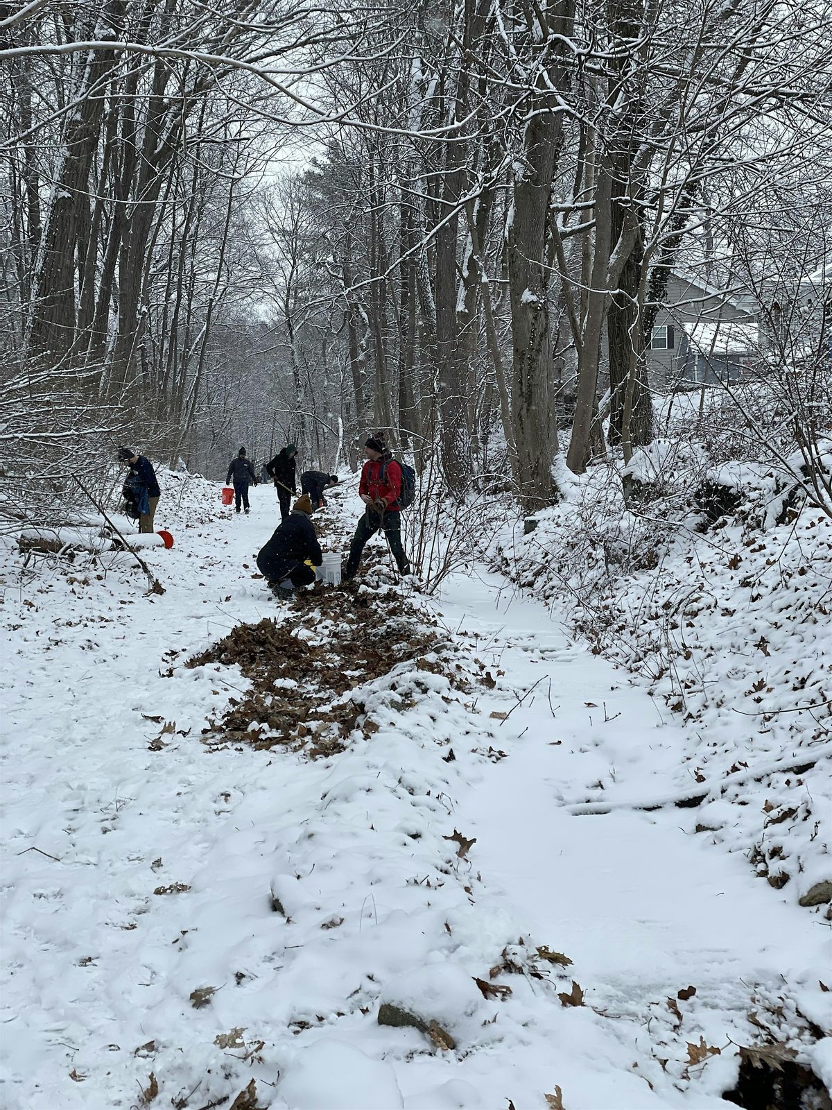 Flynn Rink Volunteer on Winter Culvert Hikes at Flynn Rink Parking Lot, Medford on ...