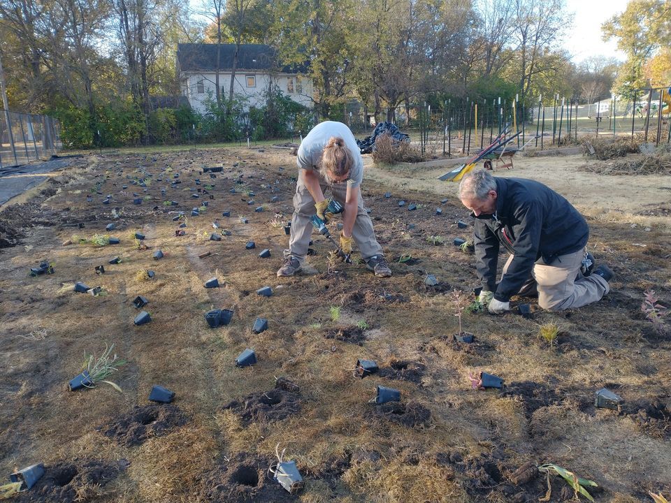 Prairie Care! - Volunteer Event At Oakland Gardens 