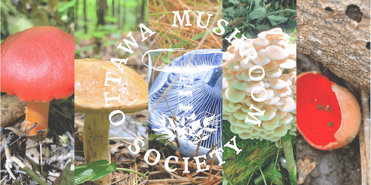 Fungi For Families - Ottawa Mushroom Society