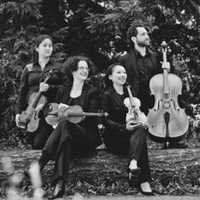 Delgani String Quartet