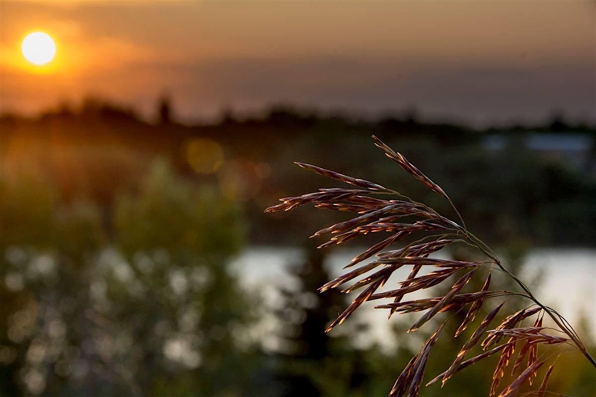 Fall Conference 2024Developmentallyresponsive Practices in Early