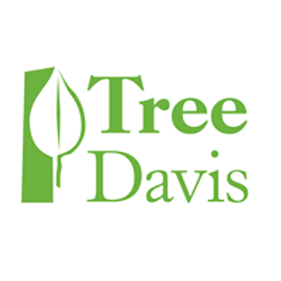 Tree Davis