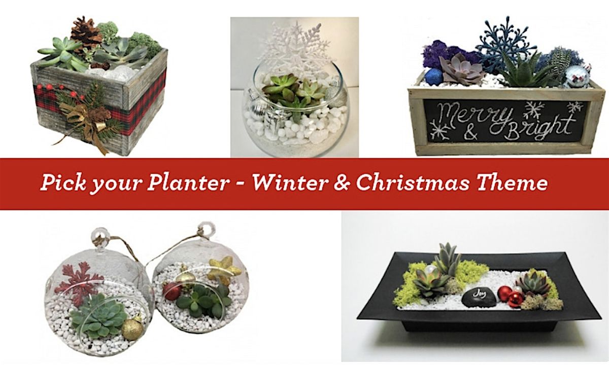 Relax Before the Holidays: Build Your Own Succulent Terrarium