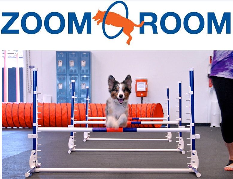 Zoom Room Dog Training Opens First Location in Bakersfield | Zoom Room ...