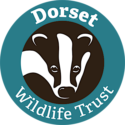 Dorset Wildlife Trust