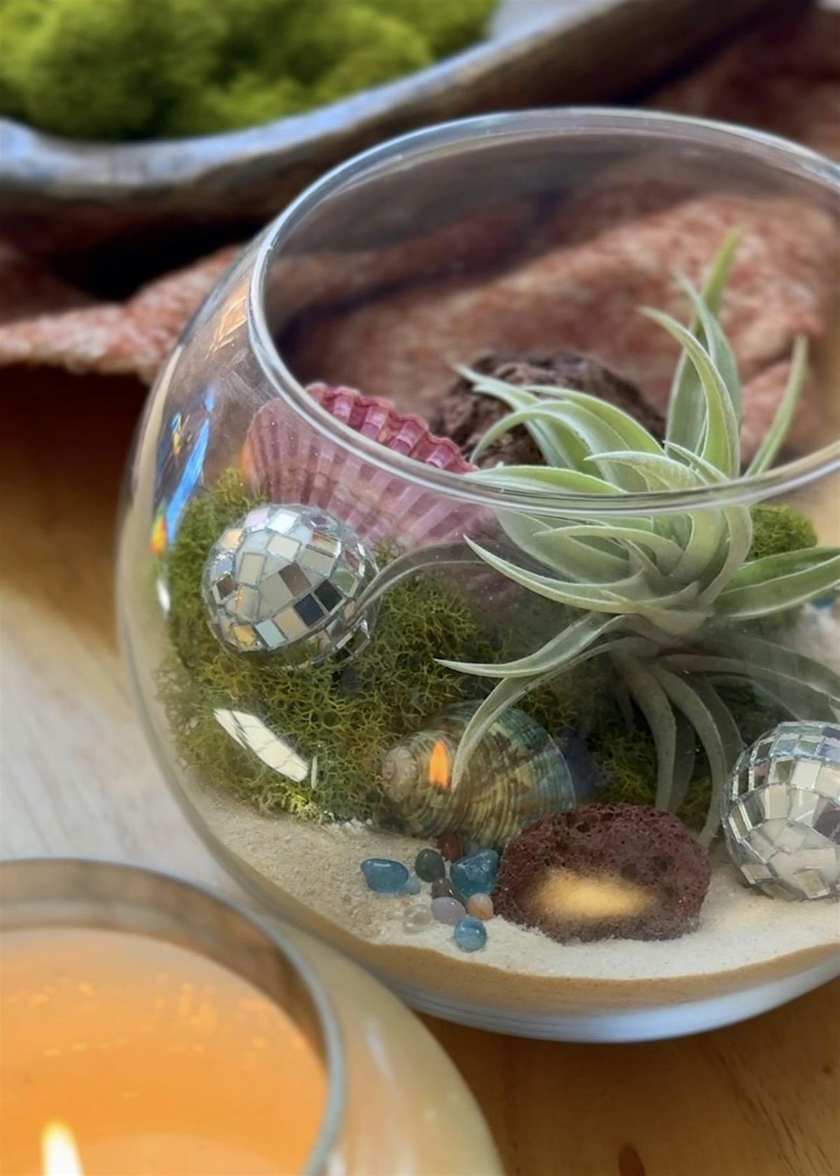 Plant Pals: Air Plant Terrarium