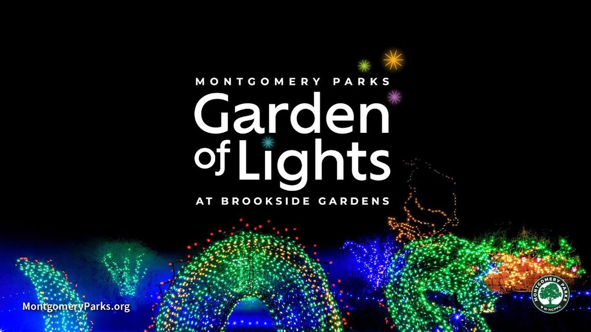 Parking CVSO: The Magic of Christmas